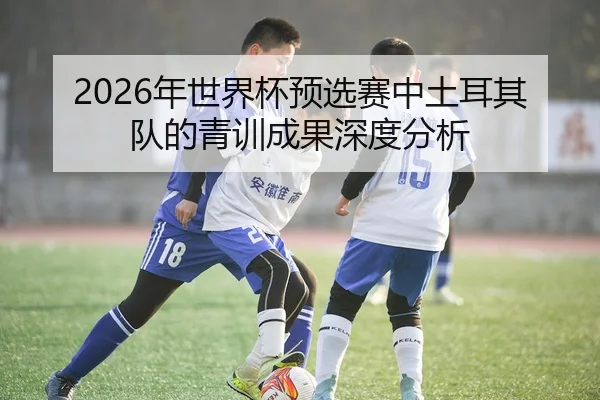 2026年世界杯预选赛中土耳其队的青训成果深度分析