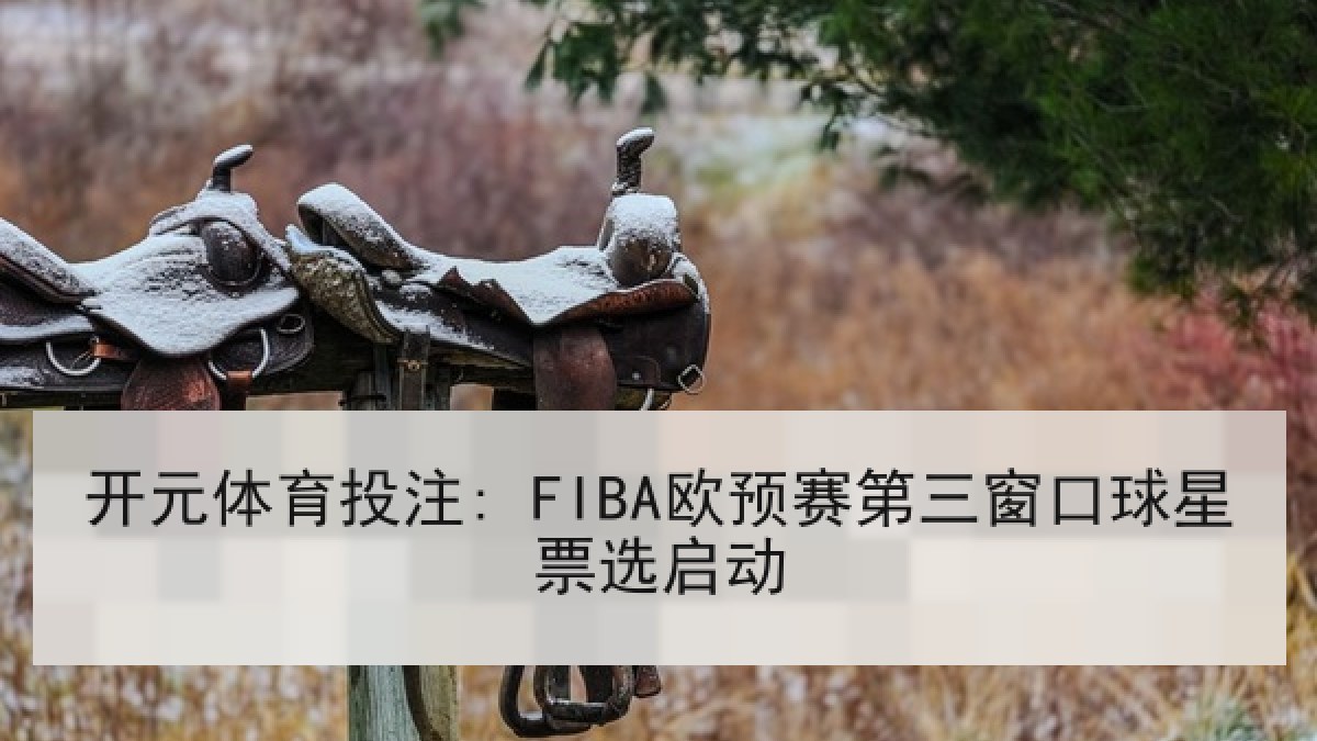 开元体育投注: FIBA欧预赛第三窗口球星票选启动