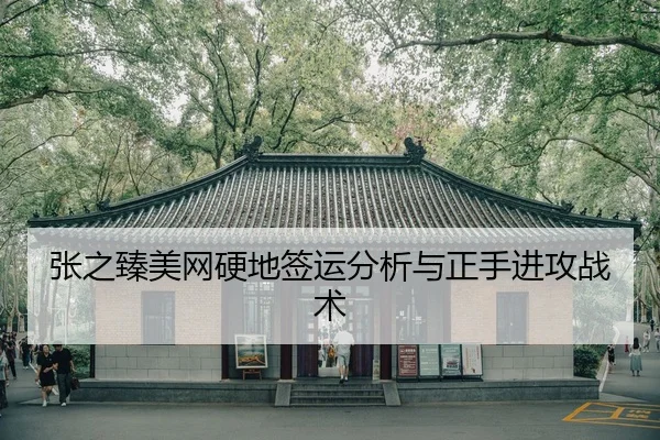 zhang-zhi-zhen-mei-wang-ying-di-qian-yun-fen-xi-yu-zheng-shou-jin-gong-zhan-shu-2-305.jpg