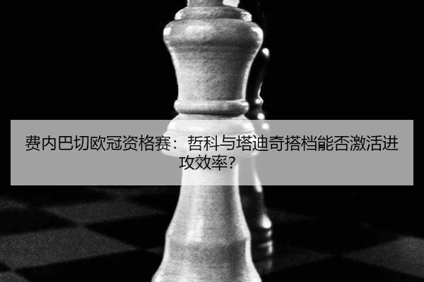 fei-nei-ba-qie-ou-guan-zi-ge-sai-zhe-ke-yu-ta-di-qi-da-dang-neng-fou-ji-huo-jin-gong-xiao-lv-3-504.jpg