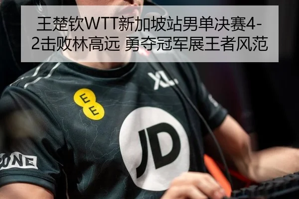 王楚钦WTT新加坡站男单决赛4-2击败林高远 勇夺冠军展王者风范