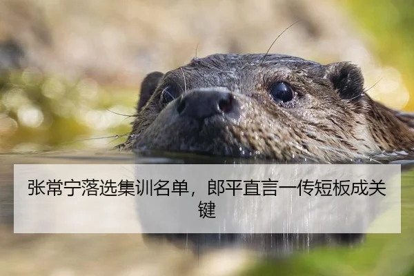 张常宁落选集训名单，郎平直言一传短板成关键